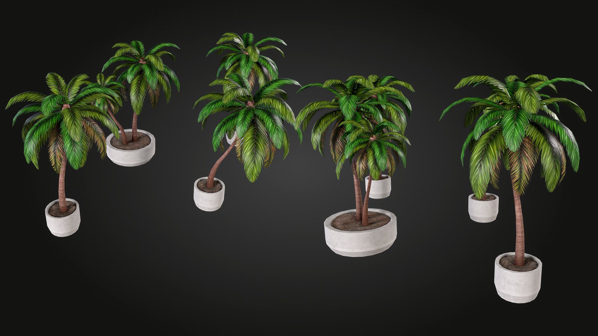 Palm 3D model https://p.turbosquid.com/ts-thumb/hW/aDek2u/re/img_9/jpg/1748027678/1920x1080/fit_q87/c921a4c461b562d279abb4ed0b732986372d534b/img_9.jpg