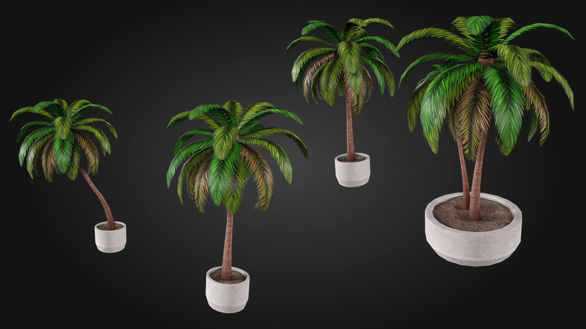Palm 3D model https://p.turbosquid.com/ts-thumb/hW/aDek2u/zr/img_7/jpg/1748027677/1920x1080/fit_q87/8a8fae575d26747fd929a68bdad0234280129088/img_7.jpg