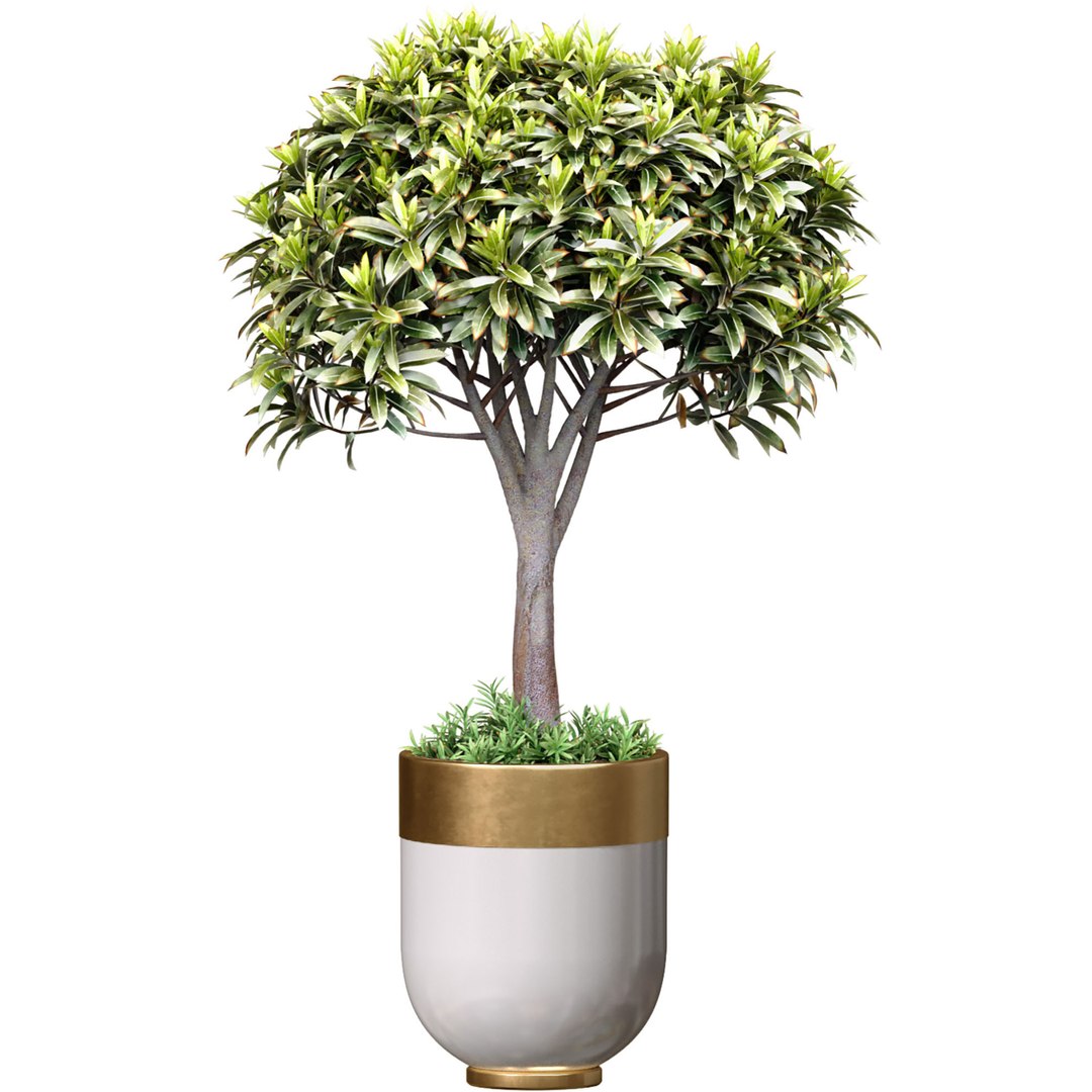 Decorative Tree In A Modern Flower Pot Vase With Brass Art Deco Godwin ...