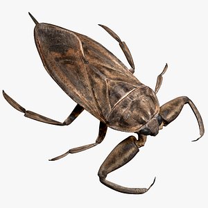 Rigged giantWaterBug
