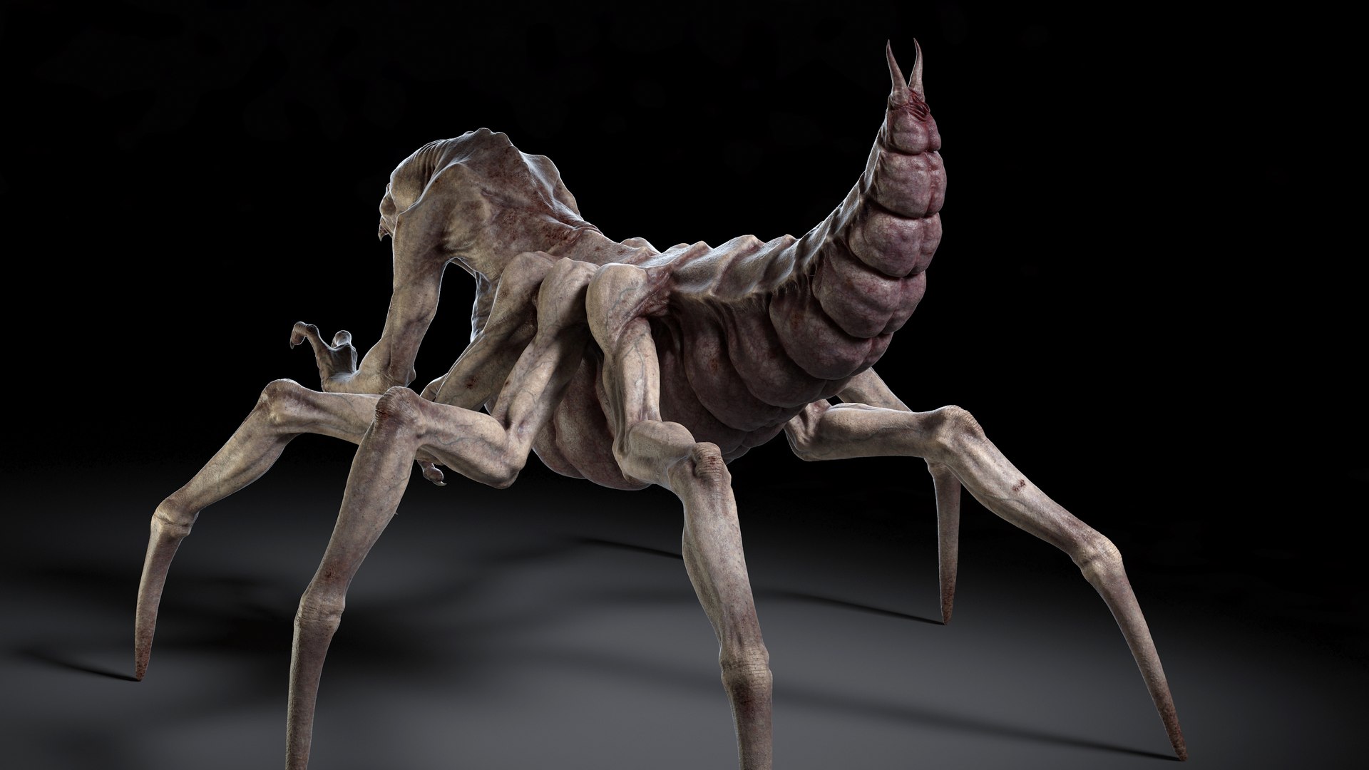 monster rig v1 3D model https://p.turbosquid.com/ts-thumb/hW/pFFUq4/C9LkMDuM/hgt_/jpg/1598815653/1920x1080/fit_q87/f8c8bb52242c27521c81e5b495da5694c6abe3f4/hgt_.jpg