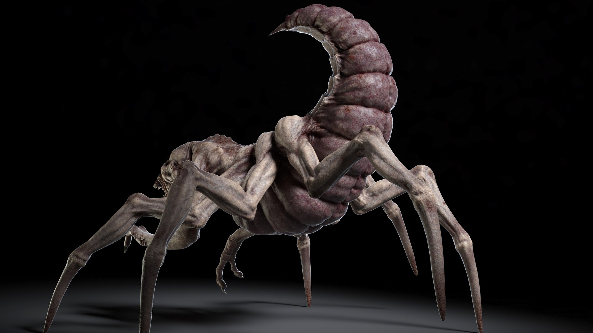 monster rig v1 3D model https://p.turbosquid.com/ts-thumb/hW/pFFUq4/ZkpNonyd/pose_009/jpg/1598815653/1920x1080/fit_q87/068faf6a5f553013ee959d9a83699c65e8d74607/pose_009.jpg