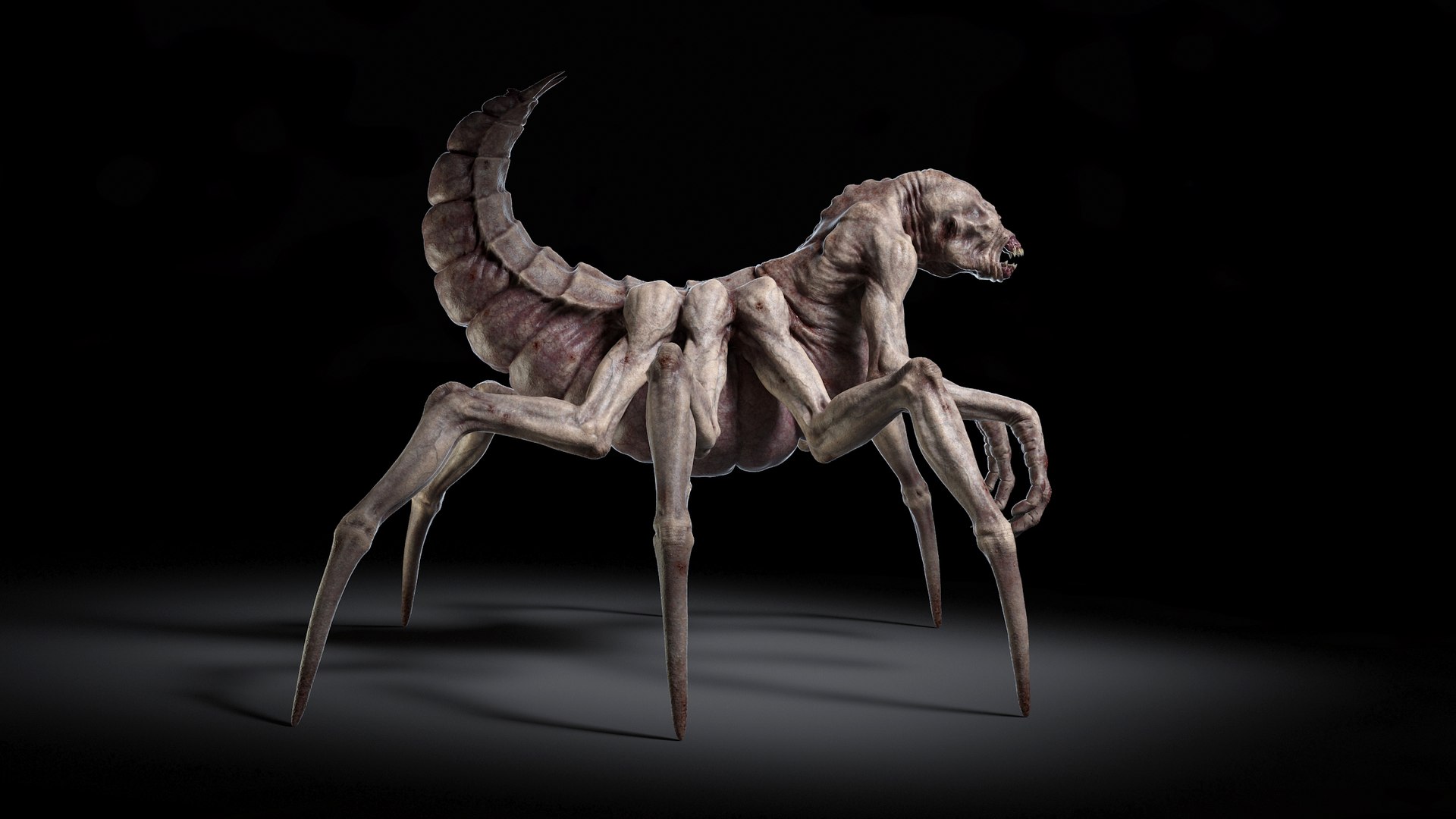 monster rig v1 3D model https://p.turbosquid.com/ts-thumb/hW/pFFUq4/zhcDGbFi/mstr0009/jpg/1598815671/1920x1080/fit_q87/791cc31bb92edefbc1ec3236ba2a10f33431d0f1/mstr0009.jpg
