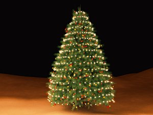 Christmas Tree with Ornaments and Lights