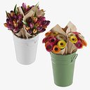 Set di fiori nel secchiello