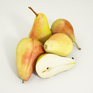 pears proxy 3d model