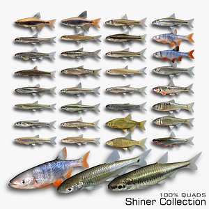 3D Shiner Collection