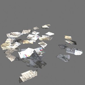 scattered papers 3d model