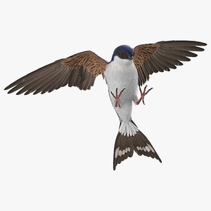 3D Urban Swallow Bird Approaching Nest