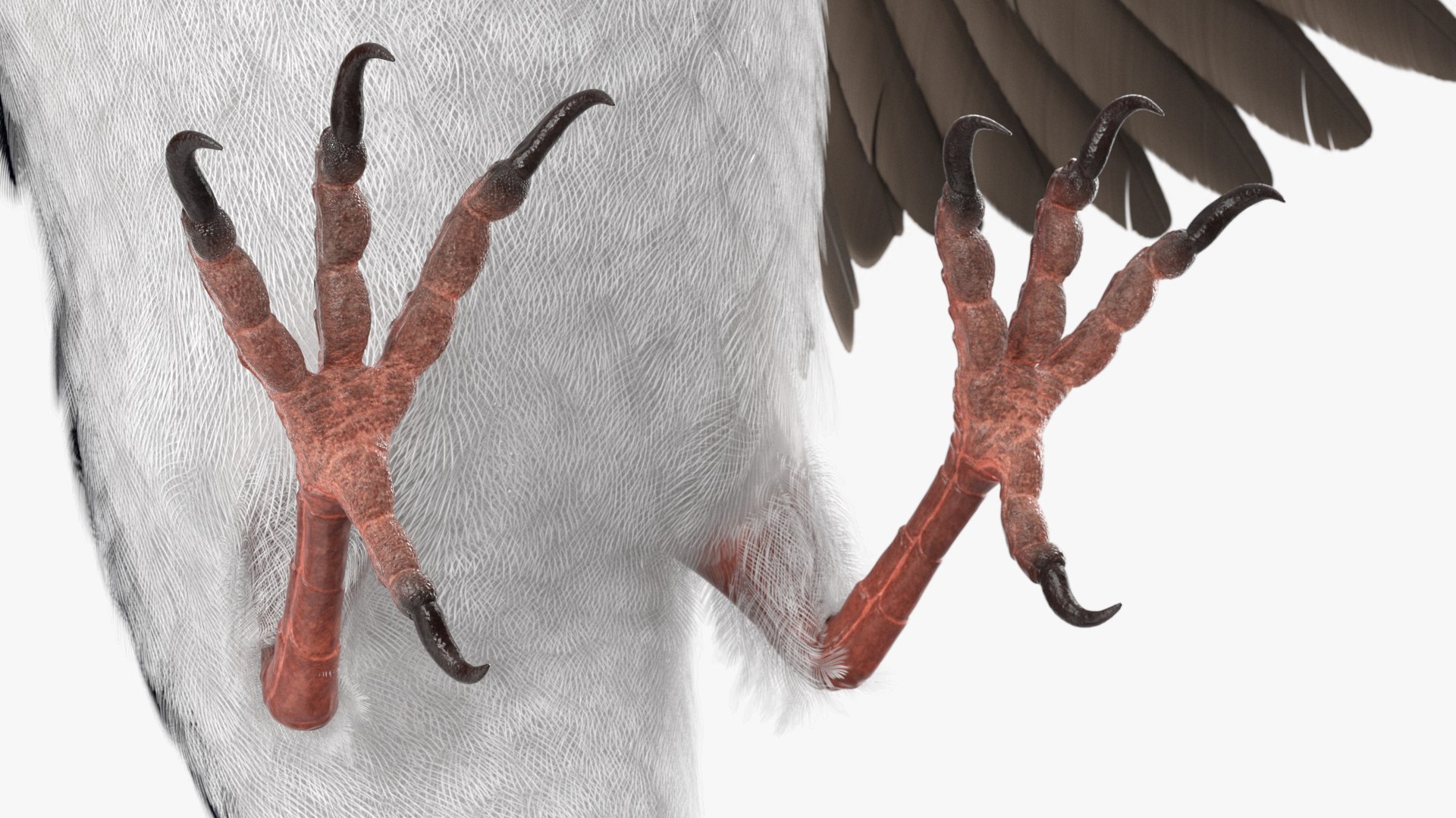 3D Urban Swallow Bird Approaching Nest https://p.turbosquid.com/ts-thumb/hX/RZelx9/Sf/urban_swallow_bird_approaching_nest_008/jpg/1757922925/1920x1080/fit_q87/043312ed09315fb06da00020ee39fbc74915de5b/urban_swallow_bird_approaching_nest_008.jpg