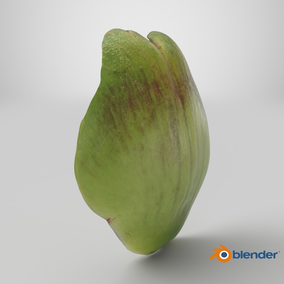 3D Artichoke Leaf 01 https://p.turbosquid.com/ts-thumb/hX/YGwrva/OV/stemcell_blender_cycles_render/png/1761054463/1920x1080/fit_q87/e0dda5906c1695f01930d1b23ff3082001a298ad/stemcell_blender_cycles_render.jpg