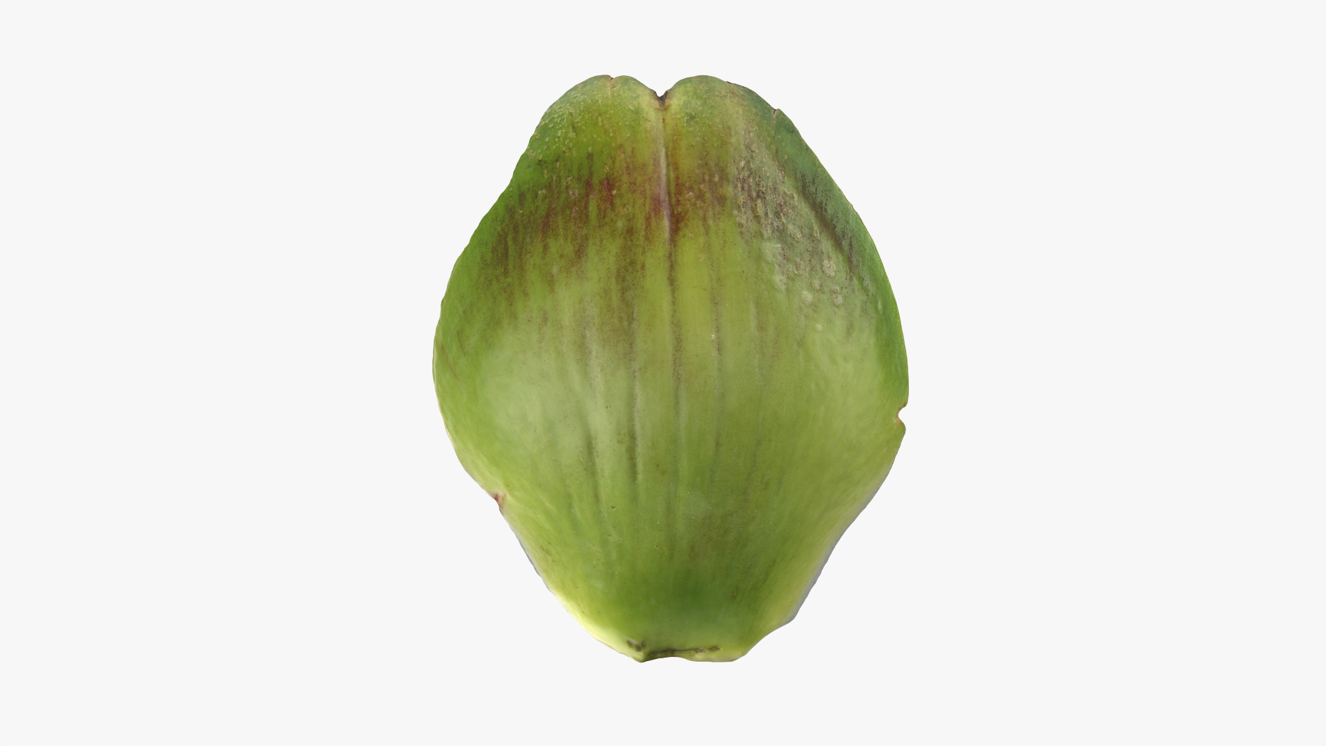 3D Artichoke Leaf 01 https://p.turbosquid.com/ts-thumb/hX/YGwrva/ZR/artichokeleaf01/png/1760096843/1920x1080/turn_fit_q99/f0e39bf829c34aa29551f43d8f5783b3b2d198d2/artichokeleaf01-1.jpg