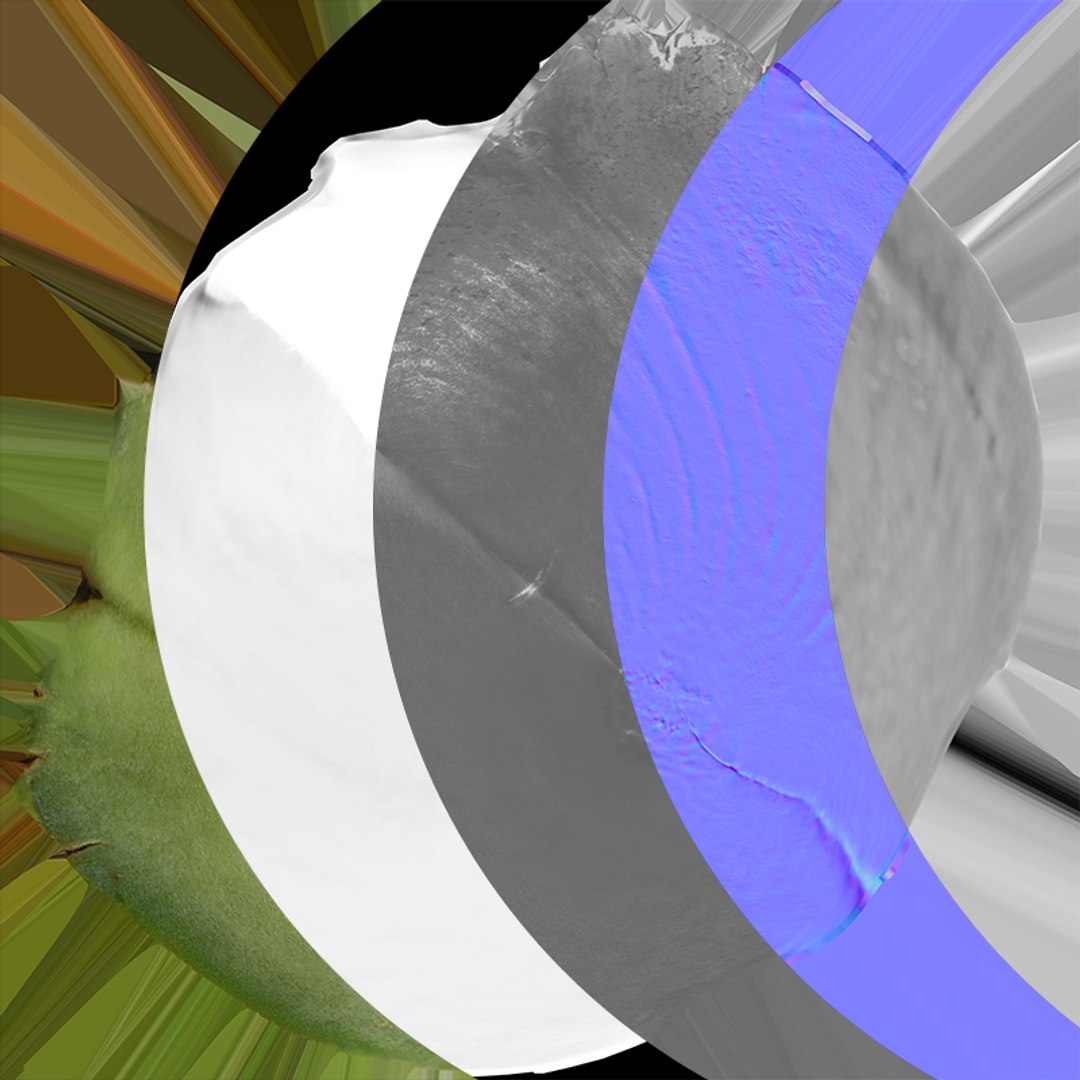 3D Artichoke Leaf 01 https://p.turbosquid.com/ts-thumb/hX/YGwrva/j4/artichokeleaf01_c0005/png/1759915985/1920x1080/fit_q87/b7f3d8c59cc5f9ebfb5d965151de18bf787a7fc4/artichokeleaf01_c0005.jpg