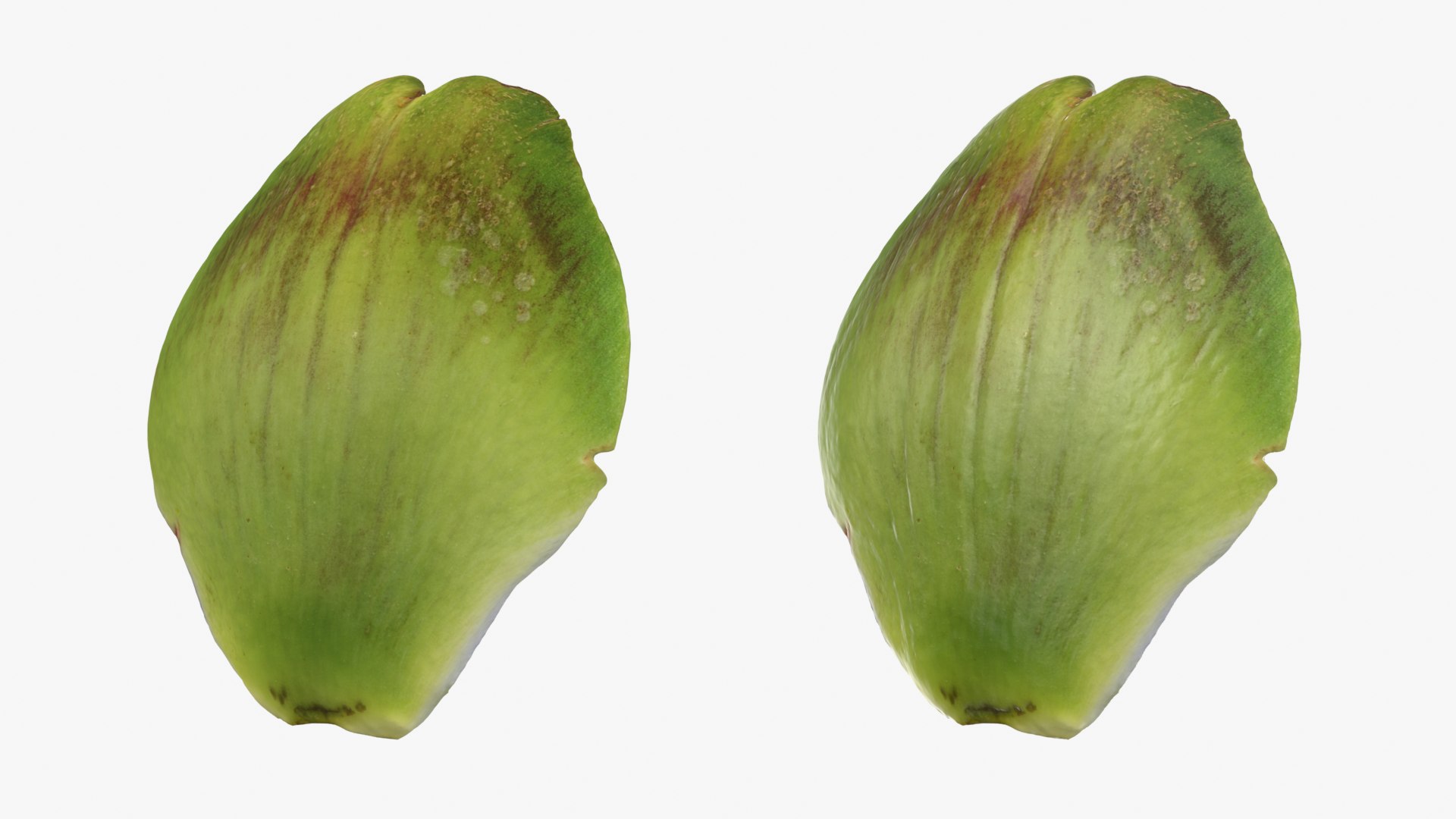 3D Artichoke Leaf 01 https://p.turbosquid.com/ts-thumb/hX/YGwrva/nN/artichokeleaf01_0001b/png/1759915968/1920x1080/fit_q87/4dacca9380261e60b03eace24955060d364206a7/artichokeleaf01_0001b.jpg