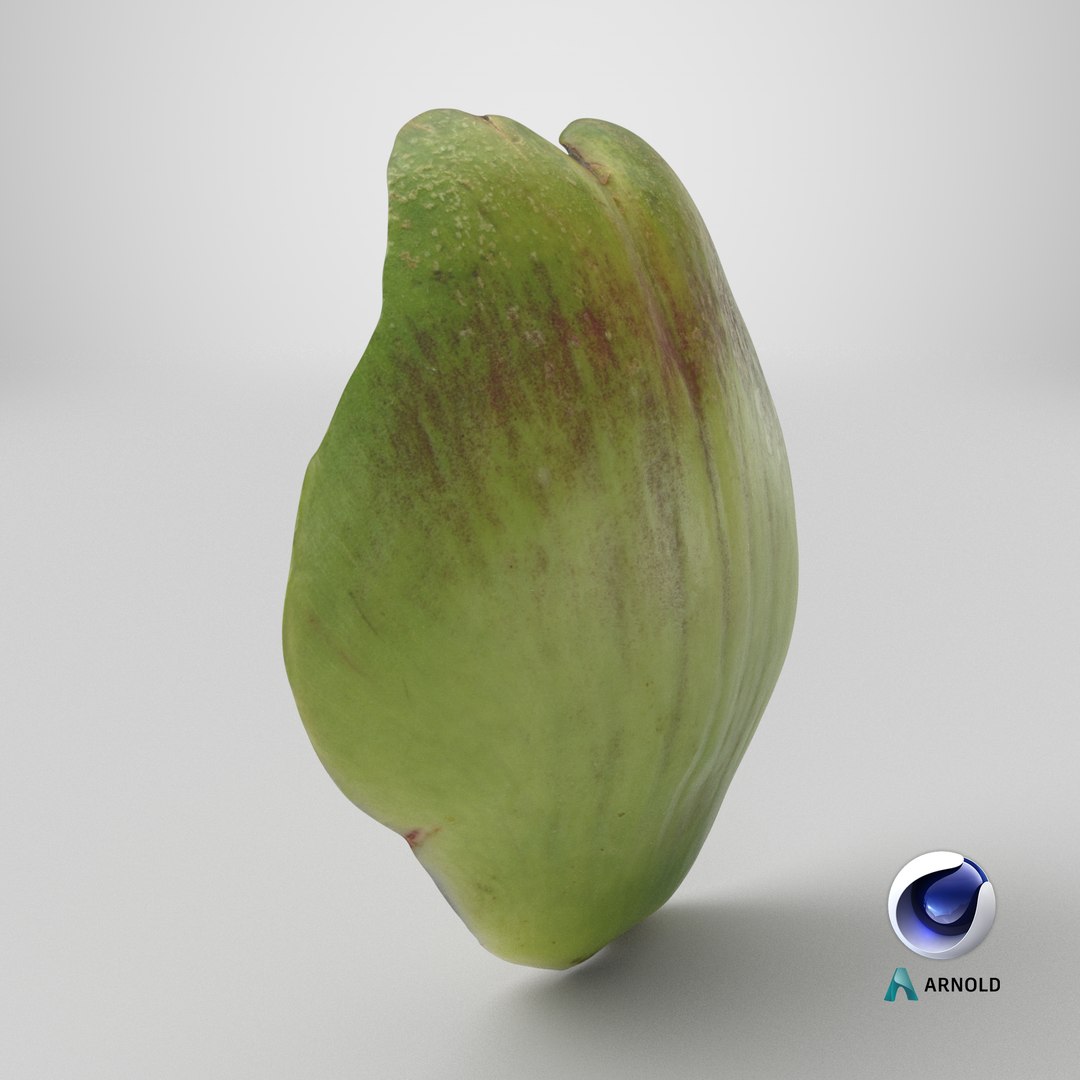 3D Artichoke Leaf 01 https://p.turbosquid.com/ts-thumb/hX/YGwrva/ne/stemcell_cinema_4d_arnold_render/png/1761054468/1920x1080/fit_q87/163725da614ea9511f3e8bb34e61eab798288c98/stemcell_cinema_4d_arnold_render.jpg