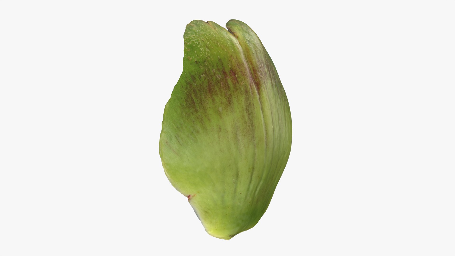 Artichoke Collection 3D model https://p.turbosquid.com/ts-thumb/hX/YGwrva/qR/artichokeleaf01_0001/png/1788360807/1920x1080/fit_q87/2a10d2cdfa0cd6a392ca431f21b8d037848ded56/artichokeleaf01_0001.jpg