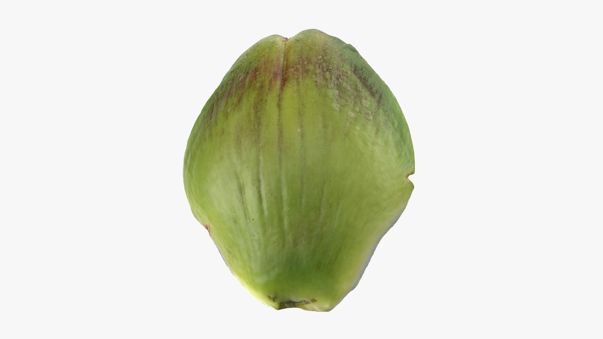 3D Artichoke Leaf 01 https://p.turbosquid.com/ts-thumb/hX/YGwrva/xo/artichokeleaf01_0002/png/1759915970/1920x1080/fit_q87/dc66f65f7f46175ef50a1cd2d1937193bed3b11c/artichokeleaf01_0002.jpg