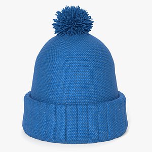 Winter Hat 2