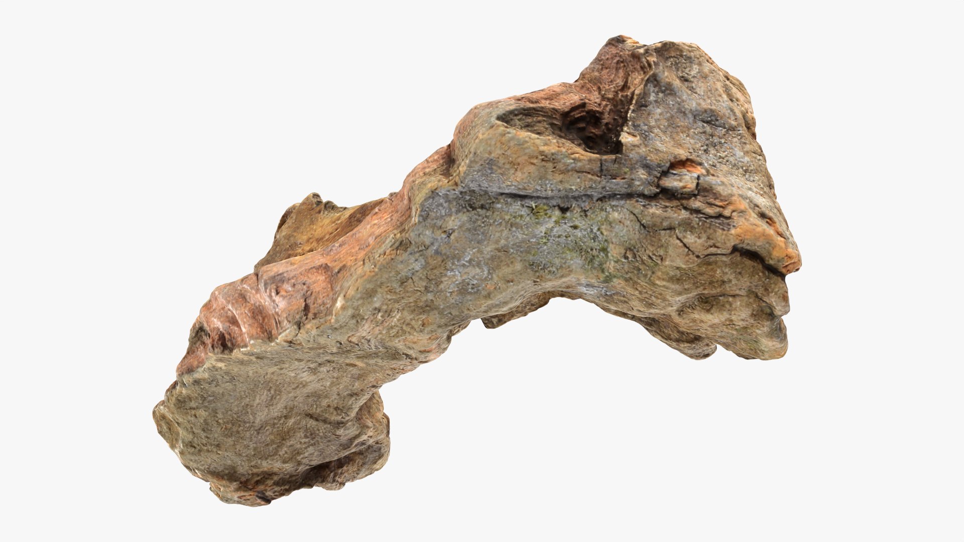 3D Tree Trunk Piece 12 https://p.turbosquid.com/ts-thumb/hX/eNFob8/9l/treetrunkpc12_0008/png/1767025423/1920x1080/fit_q87/c1d27dfc8c6fa3f617f93c29ece3080290a42257/treetrunkpc12_0008.jpg