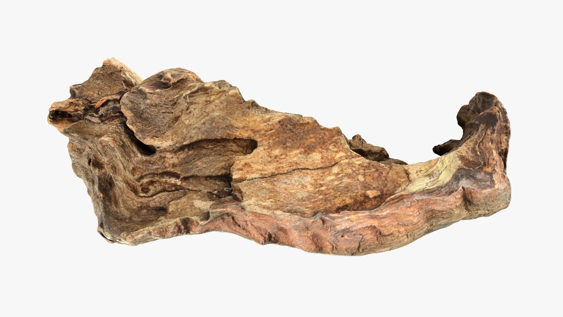 Tree Trunk Piece Collection 2 3D https://p.turbosquid.com/ts-thumb/hX/eNFob8/G7/treetrunkpc12_0001/png/1782324947/1920x1080/fit_q87/0635070891533193efff74d4ba50956ddcdfb83c/treetrunkpc12_0001.jpg