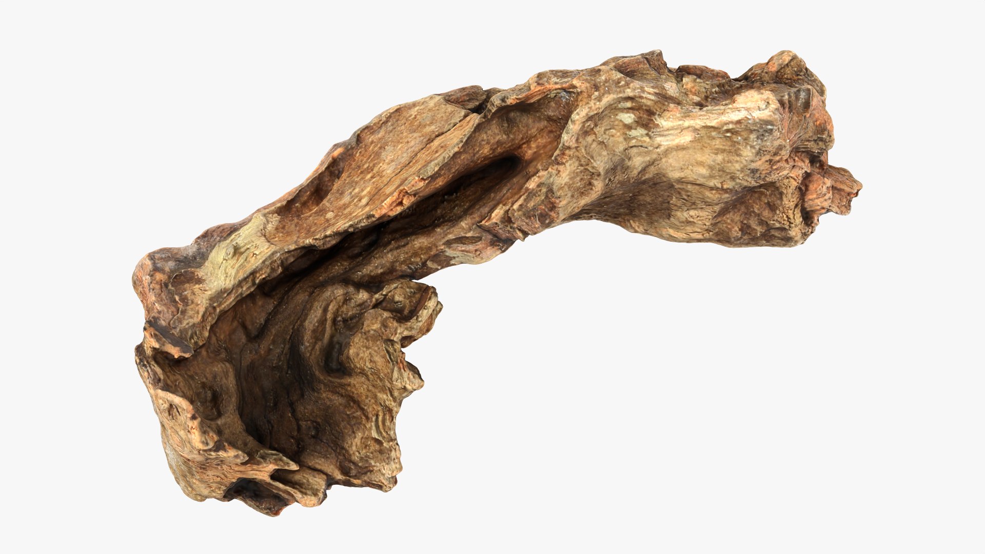 3D Tree Trunk Piece 12 https://p.turbosquid.com/ts-thumb/hX/eNFob8/IN/treetrunkpc12_0010/png/1767025426/1920x1080/fit_q87/d0023aaf2b5005a400a5c63d30675d983e1845ee/treetrunkpc12_0010.jpg