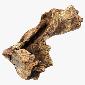 3D Tree Trunk Piece 12