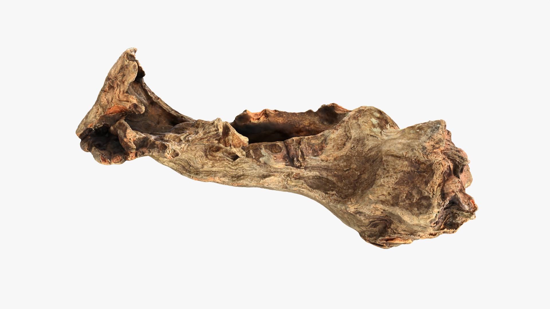 3D Tree Trunk Piece 12 https://p.turbosquid.com/ts-thumb/hX/eNFob8/Y4/treetrunkpc12/png/1767095206/1920x1080/turn_fit_q99/8322f689e7395d12923f4acf299b2aa4f9b5bde8/treetrunkpc12-1.jpg