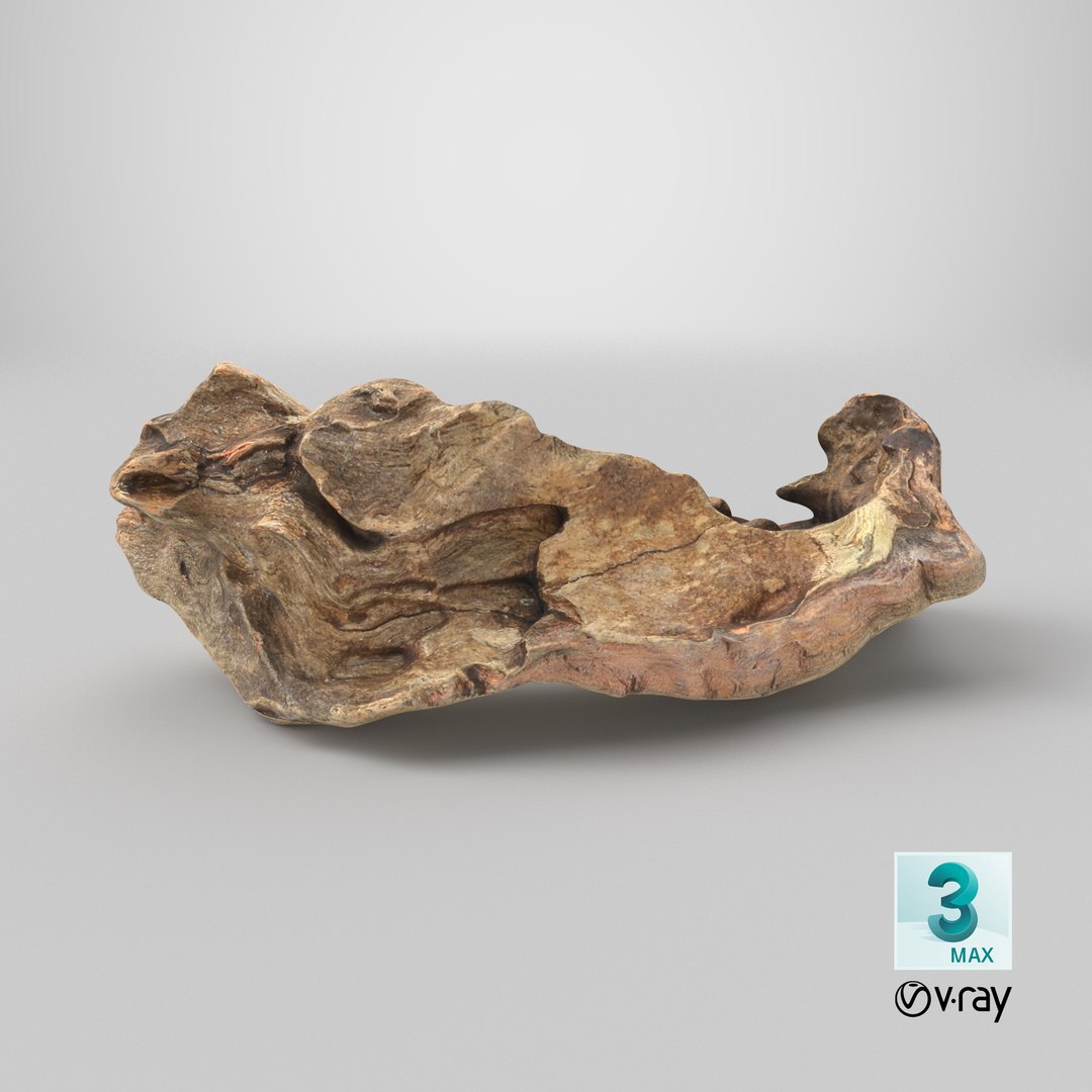 3D Tree Trunk Piece 12 https://p.turbosquid.com/ts-thumb/hX/eNFob8/ft/stemcell_max_vray_render/png/1767725988/1920x1080/fit_q87/8ad53afe5d6008469790089562c66f1f28be26bd/stemcell_max_vray_render.jpg