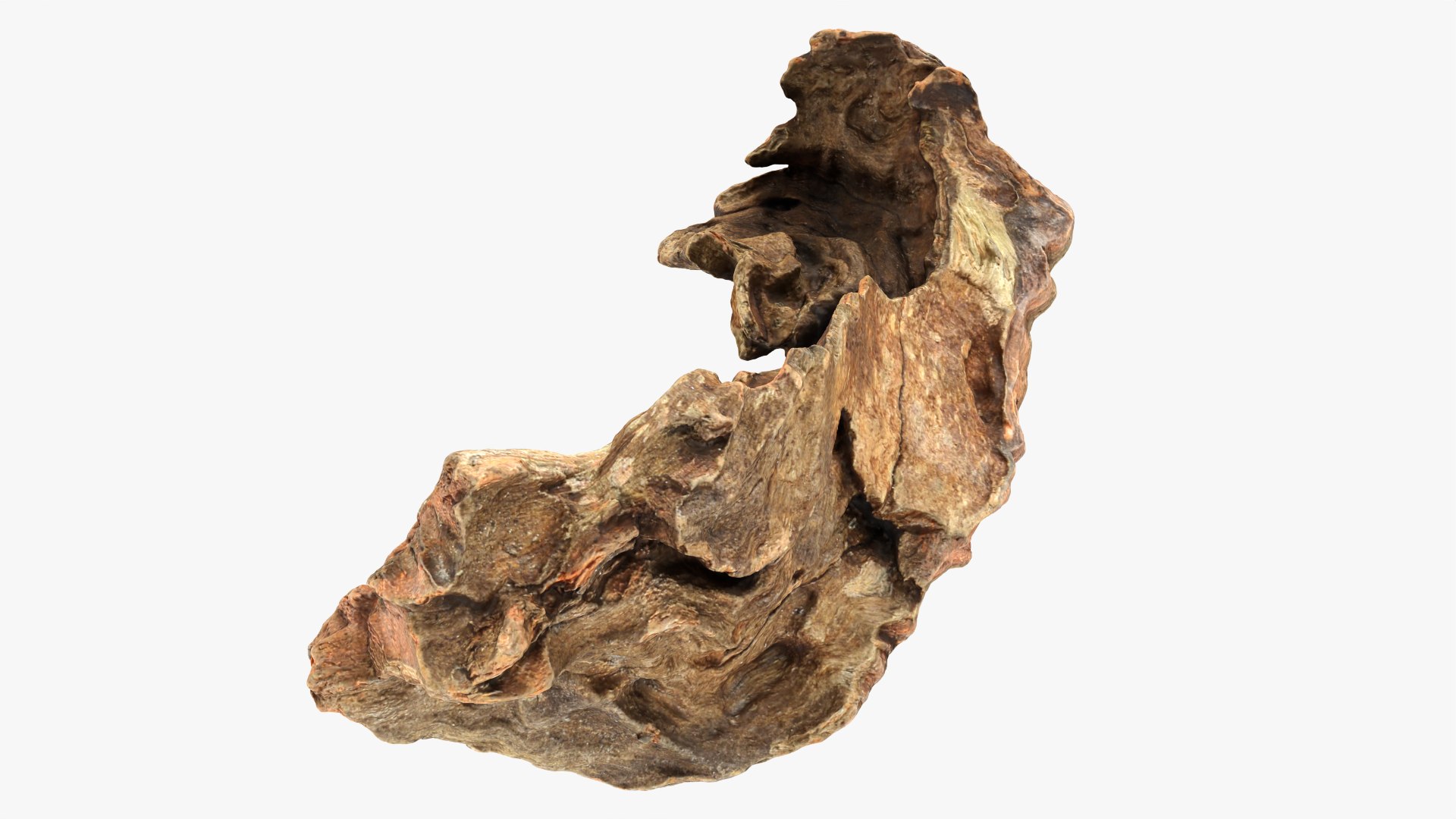 3D Tree Trunk Piece 12 https://p.turbosquid.com/ts-thumb/hX/eNFob8/l8/treetrunkpc12_0009/png/1767025425/1920x1080/fit_q87/304927f0d35339e4785e7bcd7654126024b221a1/treetrunkpc12_0009.jpg