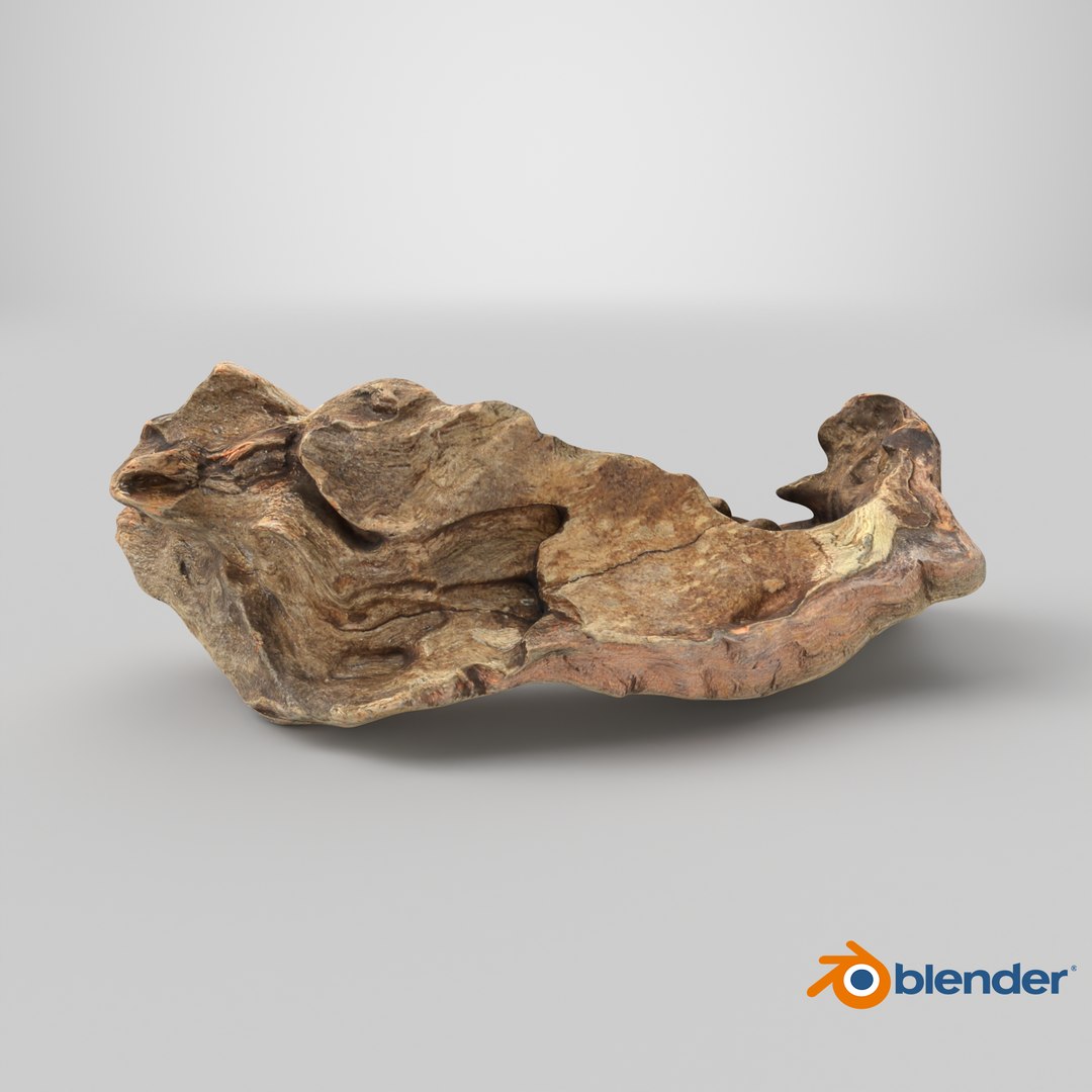 3D Tree Trunk Piece 12 https://p.turbosquid.com/ts-thumb/hX/eNFob8/lq/stemcell_blender_cycles_render/png/1767725979/1920x1080/fit_q87/ac64bf63e24ac2da807d2bc2632d862096feacfa/stemcell_blender_cycles_render.jpg