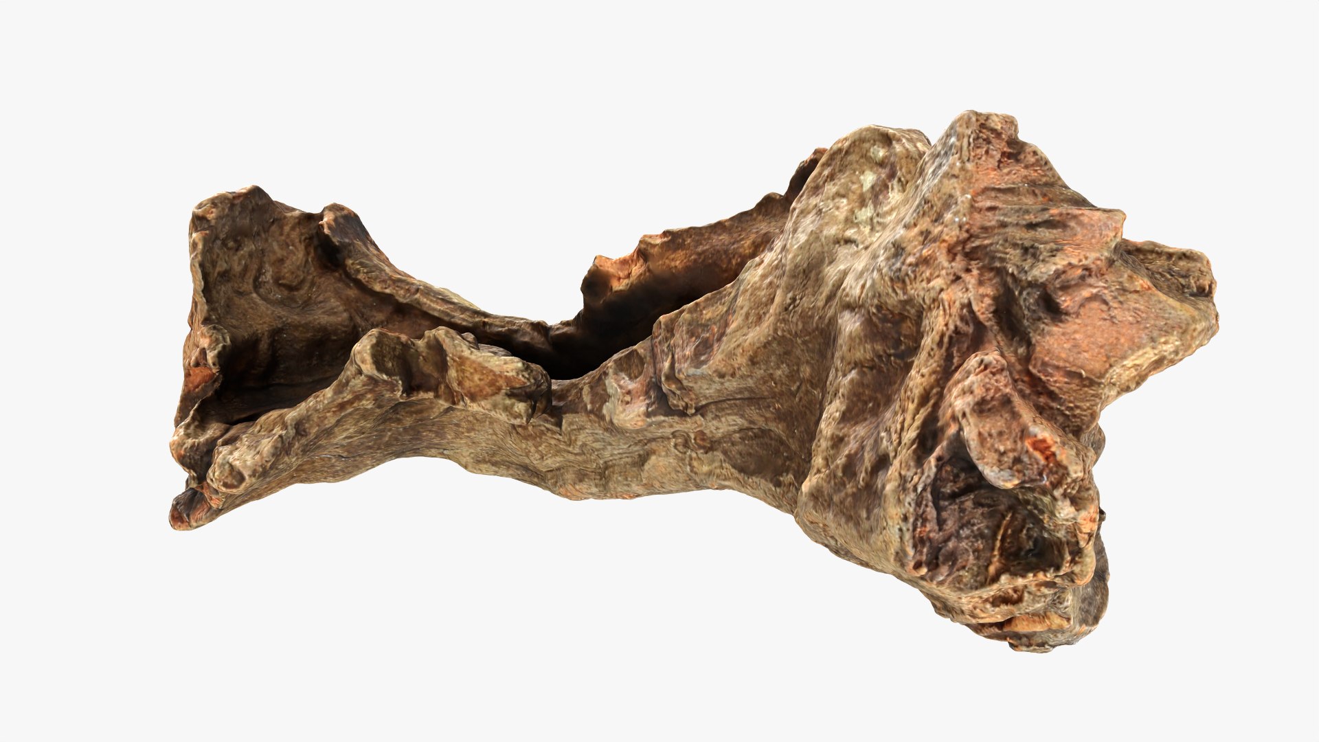 3D Tree Trunk Piece 12 https://p.turbosquid.com/ts-thumb/hX/eNFob8/sG/treetrunkpc12_0005/png/1767025419/1920x1080/fit_q87/7bfcfbe10754dc22717ca442faab80463d89601b/treetrunkpc12_0005.jpg