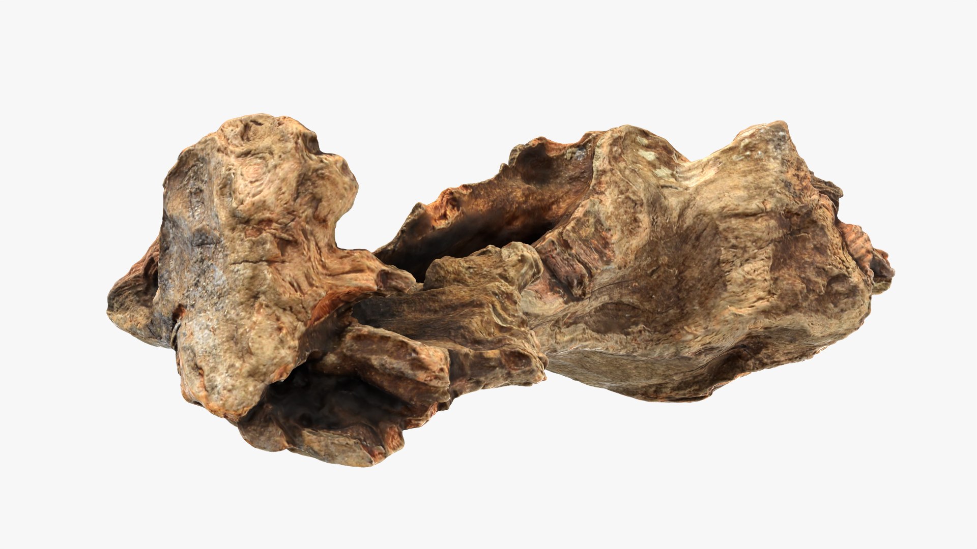 3D Tree Trunk Piece 12 https://p.turbosquid.com/ts-thumb/hX/eNFob8/ue/treetrunkpc12_0006/png/1767025422/1920x1080/fit_q87/3f675e9207c84f36acda1523d9d2efb49940833b/treetrunkpc12_0006.jpg
