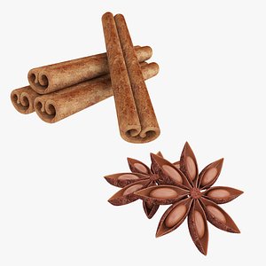 Cinnamon sticks and anise collection 3D model