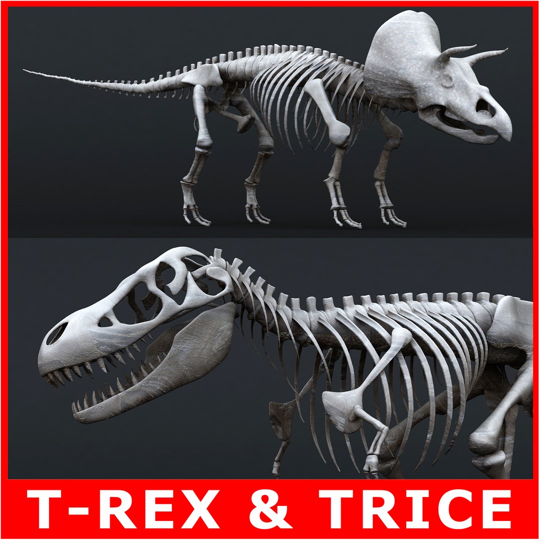 3ds rigged tyrannosaurus rex skeleton https://p.turbosquid.com/ts-thumb/hX/jjFPvI/ZZ154Et2/th_00/jpg/1582734810/1920x1080/fit_q87/fe4550c16fddb3389f54e9e4c7d333d7d851f41d/th_00.jpg