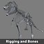 3ds rigged tyrannosaurus rex skeleton