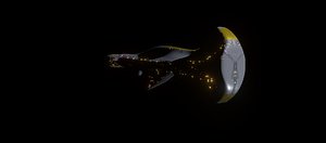 Flagship  - Capitalship model