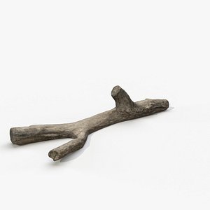Lying Trunk No.1