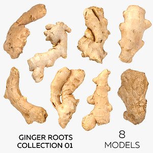 Ginger Roots Collection 01 - 8 models model