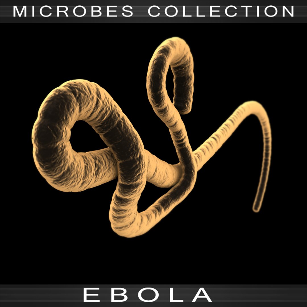 3d Ebola Virus