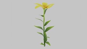 3D Plant model