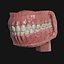 现实的人马克