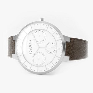 Skagen Stainless Steel Brown Leather Watch