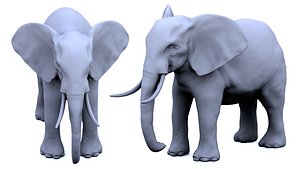 3D Elephant 3D Model