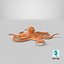 3D model octopus---hovering