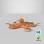 3D model octopus---hovering