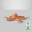 3D model octopus---hovering