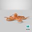 3D model octopus---hovering