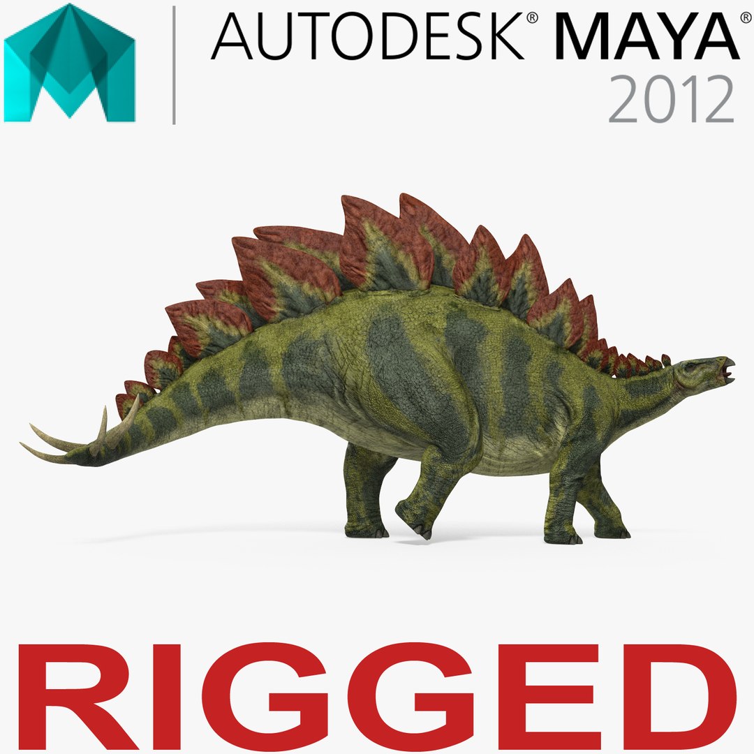 Stegosaurus Rigged for Maya 3D model preview