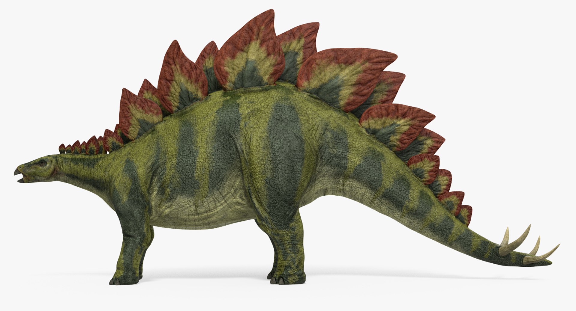 Stegosaurus Rigged 3d Model