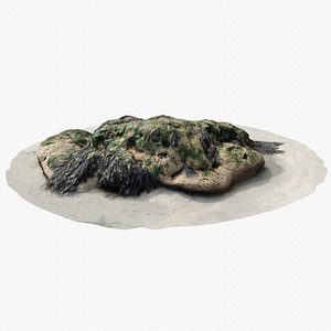 Rock 3D Scan 16